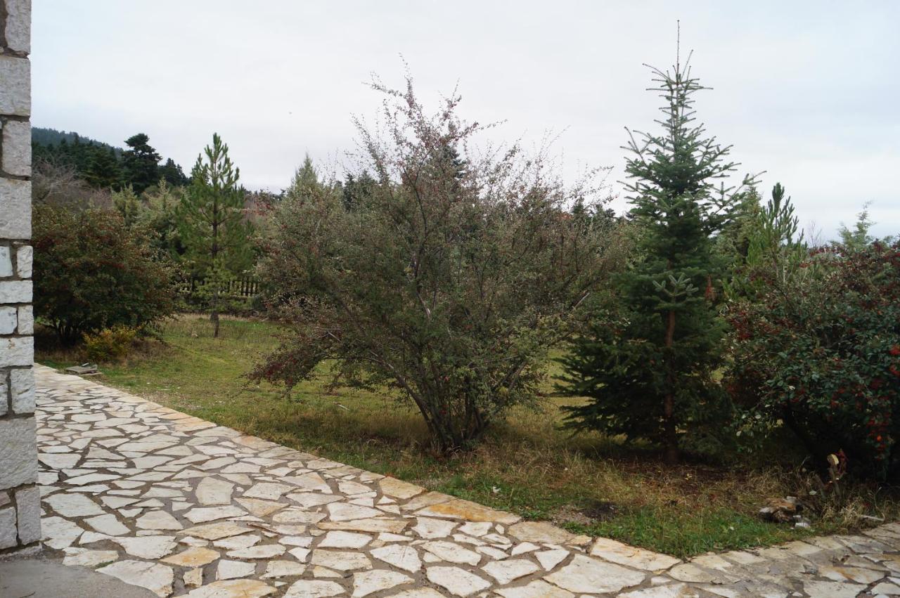 Parnassos Chalets Арахова Экстерьер фото